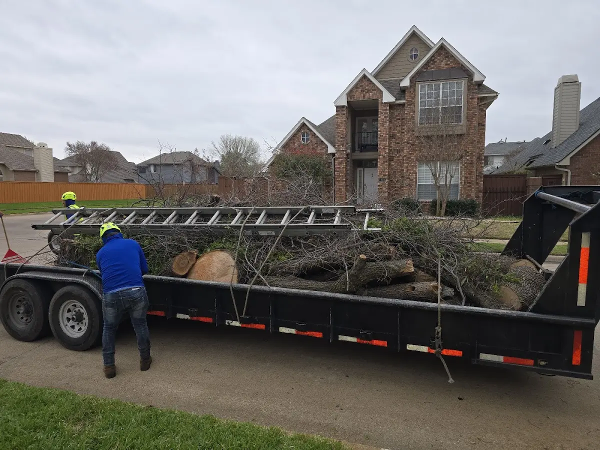 Expert Lot Clearing with proper safety equipment in Mound Bayou